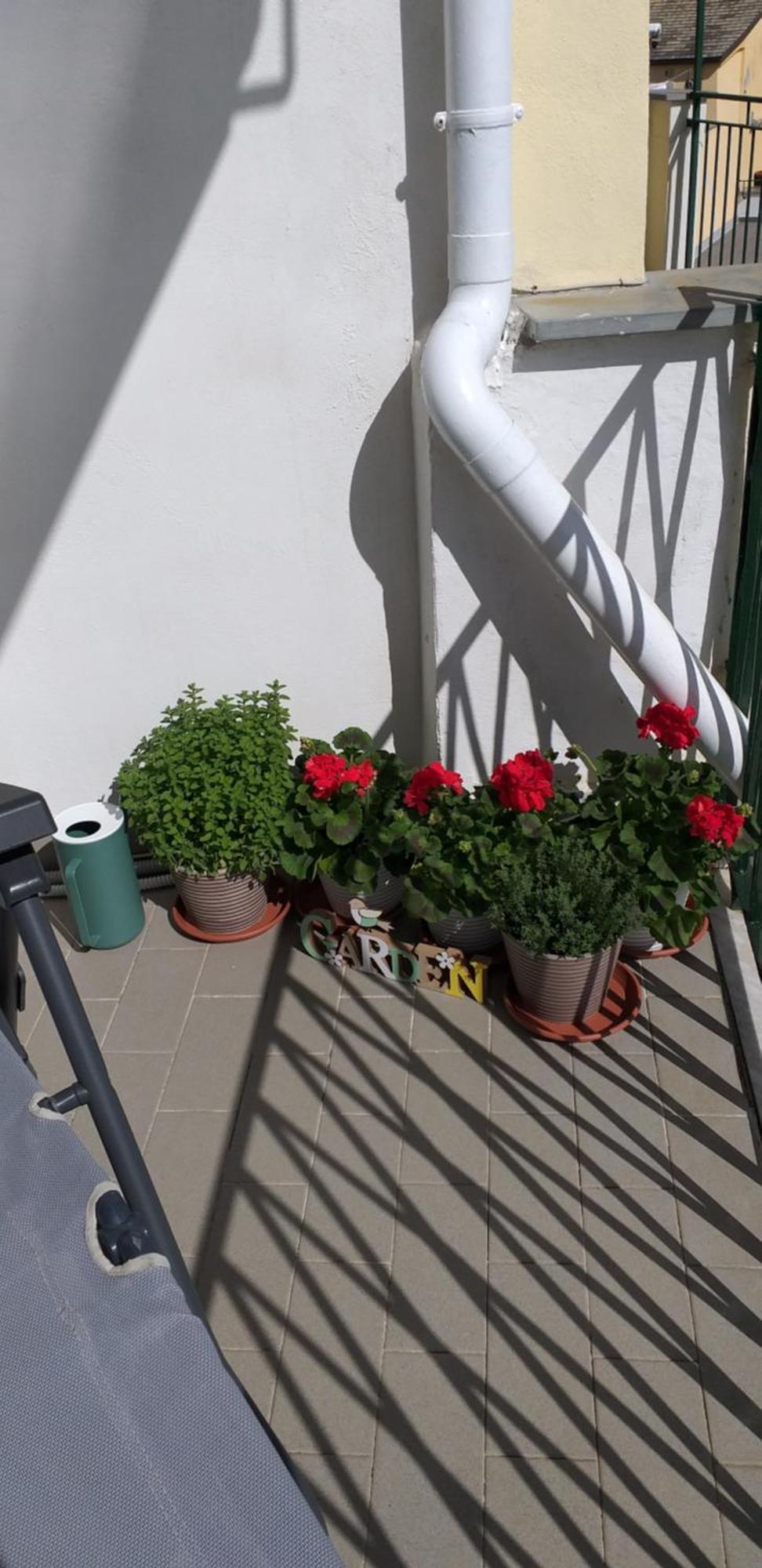 Aa Ciasea Duu Pintuu Apartment ริโอมัจโจเร ภายนอก รูปภาพ